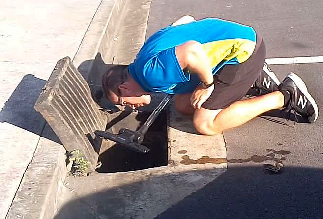 Dominik checks the storm drain during the rescue. 